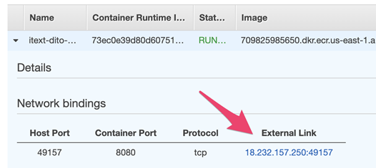 External Link in ECS Task